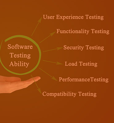 image of Salitas Technological Solutions named Excel with Testing and Launch. the process is Website Development