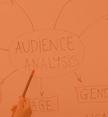 image of Salitas Technological Solutions named Audience Analysis. the process is Landing Page Design